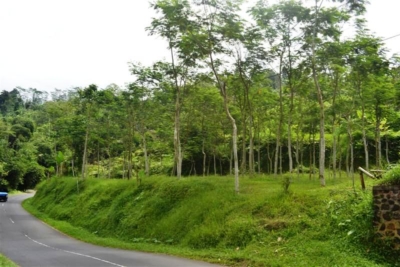 jual beli apartemen, jual beli properti, jual beli properti bekasi, jual beli properti bogor, jual beli properti depok, jual beli properti jakarta, jual beli properti tangerang, jual beli rumah, jual beli tanah, properti, santana properti, santanaproperti