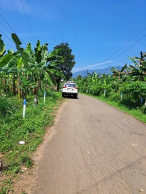 Tanah Dijual Cepat Jalan Besar Cibadak Bogor Luas 2380 meter