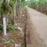 Jual Tanah Murah di Bekasi