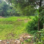 Tanah Kebun Dijual Cepat Luas 4359 meter – Lokasi Strategis di Pinggir Jalan Besar, Cileungsi