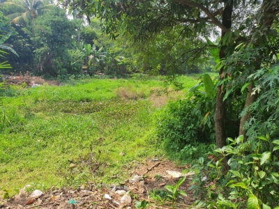 Tanah Kebun Dijual Cepat Luas 4359 meter – Lokasi Strategis di Pinggir Jalan Besar, Cileungsi